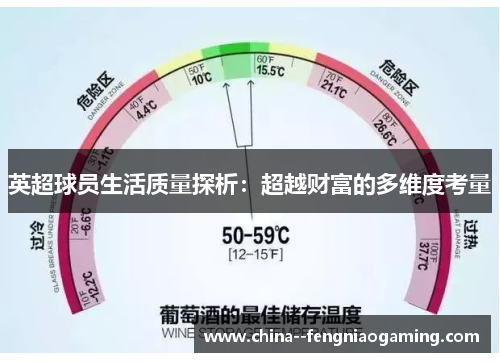 英超球员生活质量探析：超越财富的多维度考量