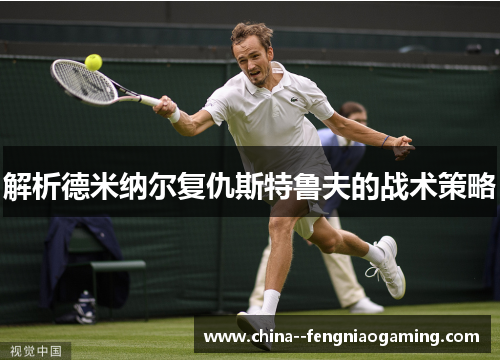 解析德米纳尔复仇斯特鲁夫的战术策略