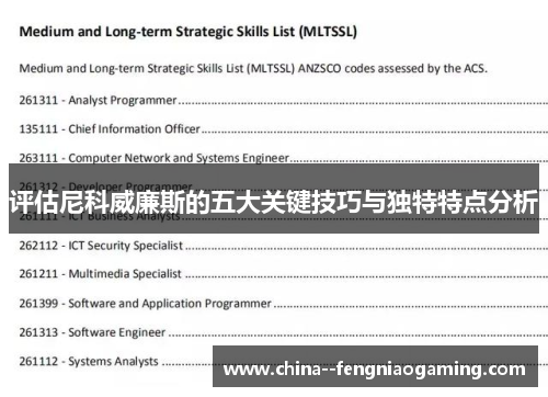 评估尼科威廉斯的五大关键技巧与独特特点分析