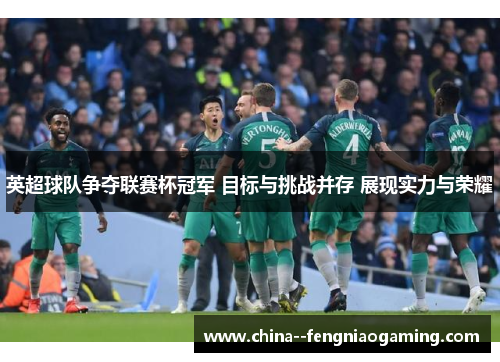 英超球队争夺联赛杯冠军 目标与挑战并存 展现实力与荣耀