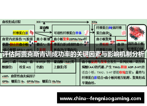 评估阿贾克斯青训成功率的关键因素与影响机制分析 评估阿贾克斯青训成功率的关键因素与影响机制分析