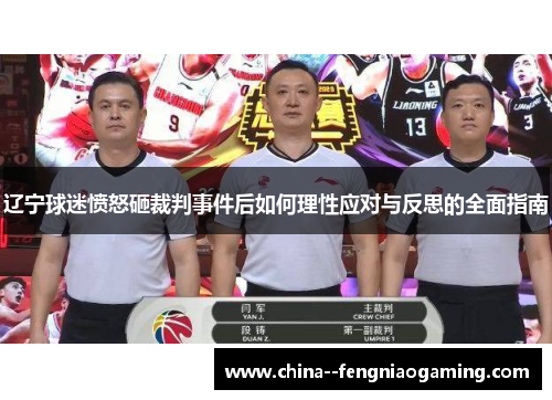 辽宁球迷愤怒砸裁判事件后如何理性应对与反思的全面指南