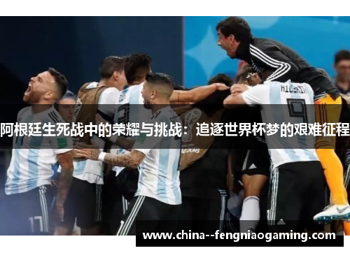 阿根廷生死战中的荣耀与挑战：追逐世界杯梦的艰难征程
