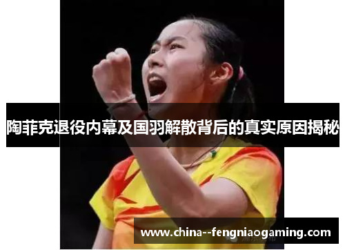 陶菲克退役内幕及国羽解散背后的真实原因揭秘