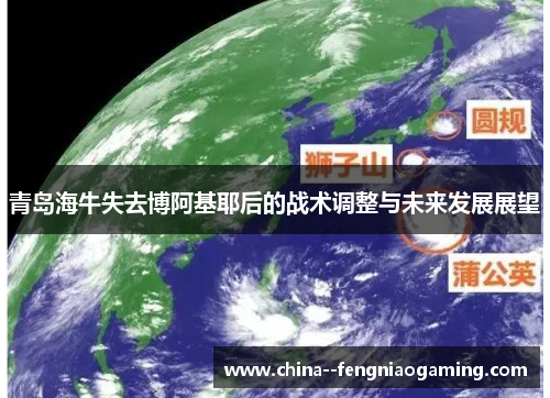 青岛海牛失去博阿基耶后的战术调整与未来发展展望 青岛海牛失去博阿基耶后的战术调整与未来发展展望